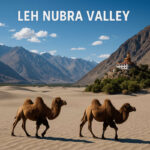 Leh Nubra Valley