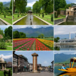 Srinagar Local Sightseeing