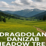 Dragdolan Danizab Meadow trek