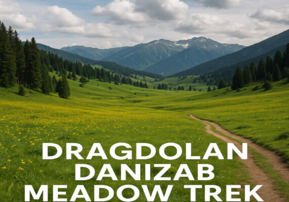 Dragdolan Danizab Meadow Trek – Explore Untouched Kashmir