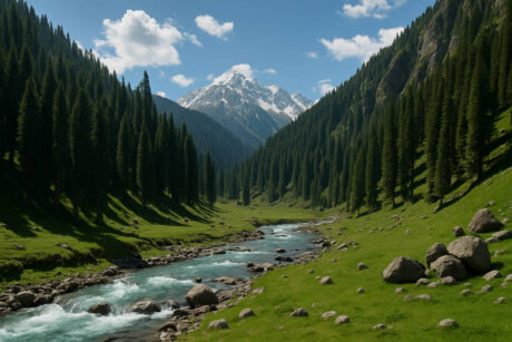 Marchoi Valley Trek – Scenic Offbeat Trail in Kashmir