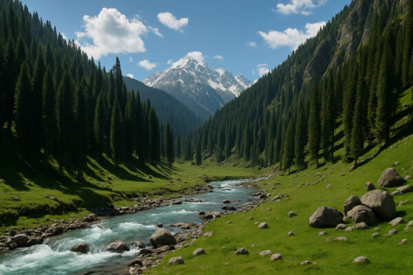 Marchoi Valley Trek
