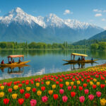Kashmir Tour Packages