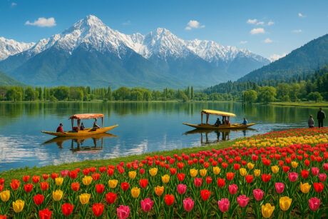 Kashmir Tour Packages – Your Gateway to Paradise on Earth